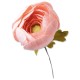 Thinlits Die Set 5PK Ranunculus by Olivia Rose Thinlits Die Set 5PK Ranunculus by Olivia Rose