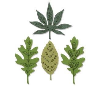 Sizzix Framelits Die Set 3PK 4PK Stamps - Decorative Leaves Sizzix Framelits Die Set 3PK 4PK Stamps - Decorative Leaves
