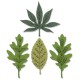 Sizzix Framelits Die Set 3PK 4PK Stamps - Decorative Leaves