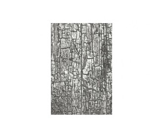 Sizzix • 3D Textured Impressions Embossing Folder Cracked  Sizzix • 3D Textured Impressions Embossing Folder Cracked