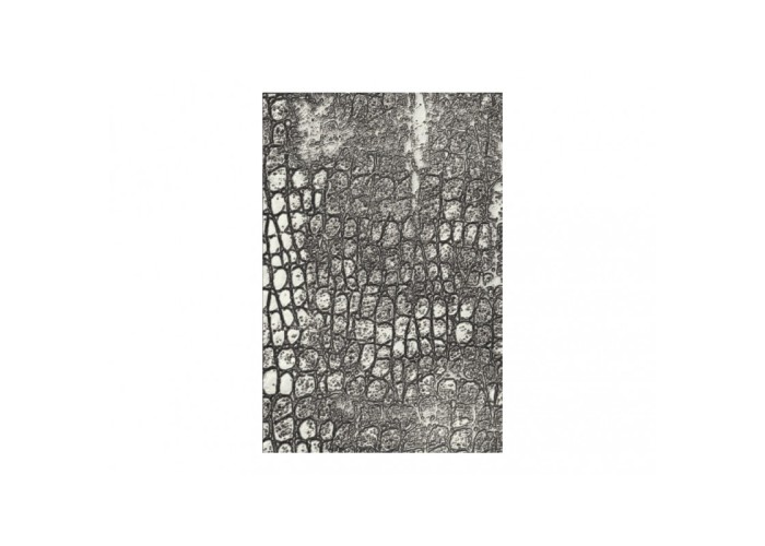 Sizzix • 3D Textured Impressions Embossing Folder Reptile Sizzix • 3D Textured Impressions Embossing Folder Reptile