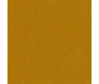 Xαρτόνι Bazzill mono canvas 30cmx30cm 216g butterscotch Xαρτόνι Bazzill mono canvas 30cmx30cm 216g butterscotch