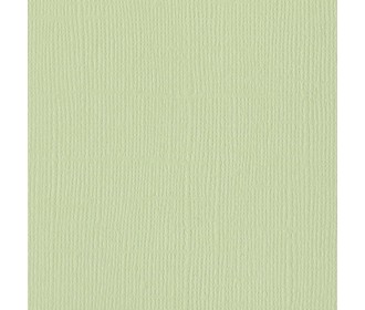 Xαρτόνι Bazzill mono canvas 30cmx30cm 216gr aloe vera Xαρτόνι Bazzill mono canvas 30cmx30cm 216gr aloe vera