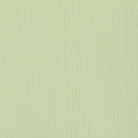 Xαρτόνι Bazzill mono canvas 30cmx30cm 216gr aloe vera