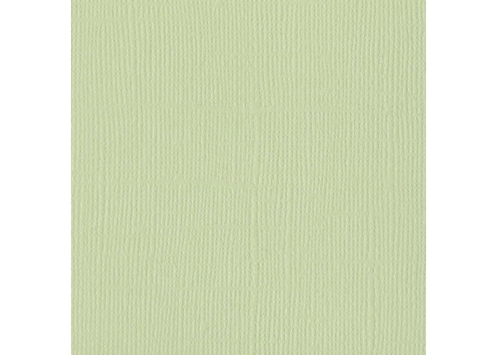 Xαρτόνι Bazzill mono canvas 30cmx30cm 216gr aloe vera Xαρτόνι Bazzill mono canvas 30cmx30cm 216gr aloe vera