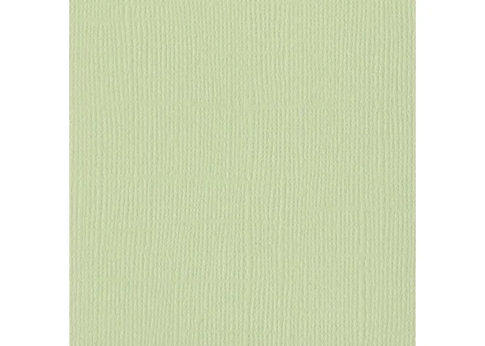 Xαρτόνι Bazzill mono canvas 30cmx30cm 216gr aloe vera