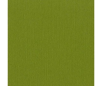 Xαρτόνι Bazzill mono canvas 30cmx30cm 216g hillary Xαρτόνι Bazzill mono canvas 30cmx30cm 216g hillary