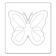 Butterfly Butterfly