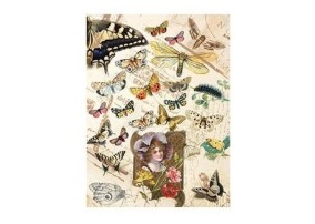 Ριζόχαρτο Decoupage Butterfly - A4 Ριζόχαρτο Decoupage Butterfly - A4