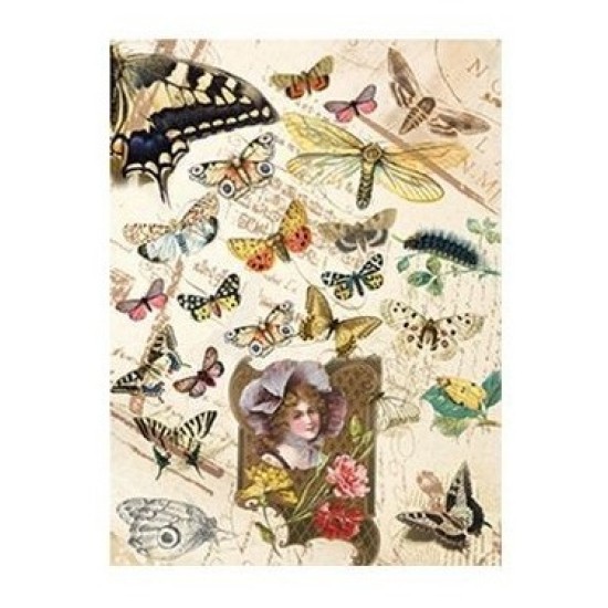 Ριζόχαρτο Decoupage Butterfly - A4 Ριζόχαρτο Decoupage Butterfly - A4