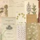 Σετ Χαρτόνια Χειροτεχνίας Creative Expressions • Shabby Botanicals 20cm x 20cm 24Φ 150gsm Σετ Χαρτόνια Χειροτεχνίας Creative Expressions • Shabby Botanicals 20cm x 20cm 24Φ 150gsm