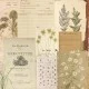 Σετ Χαρτόνια Χειροτεχνίας Creative Expressions • Shabby Botanicals 20cm x 20cm 24Φ 150gsm