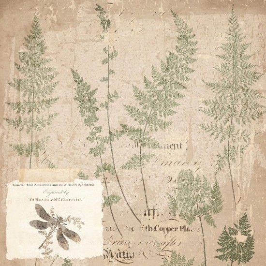 Σετ Χαρτόνια Χειροτεχνίας Creative Expressions • Shabby Botanicals 20cm x 20cm 24Φ 150gsm Σετ Χαρτόνια Χειροτεχνίας Creative Expressions • Shabby Botanicals 20cm x 20cm 24Φ 150gsm