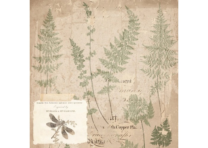 Σετ Χαρτόνια Χειροτεχνίας Creative Expressions • Shabby Botanicals 20cm x 20cm 24Φ 150gsm Σετ Χαρτόνια Χειροτεχνίας Creative Expressions • Shabby Botanicals 20cm x 20cm 24Φ 150gsm