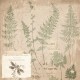 Σετ Χαρτόνια Χειροτεχνίας Creative Expressions • Shabby Botanicals 20cm x 20cm 24Φ 150gsm Σετ Χαρτόνια Χειροτεχνίας Creative Expressions • Shabby Botanicals 20cm x 20cm 24Φ 150gsm