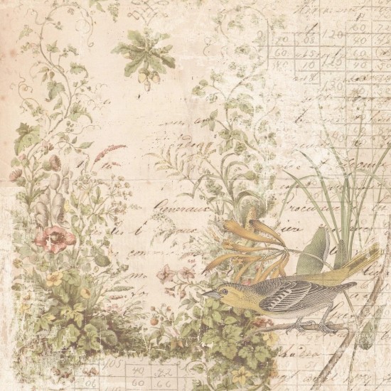 Σετ Χαρτόνια Χειροτεχνίας Creative Expressions • Shabby Botanicals 20cm x 20cm 24Φ 150gsm Σετ Χαρτόνια Χειροτεχνίας Creative Expressions • Shabby Botanicals 20cm x 20cm 24Φ 150gsm