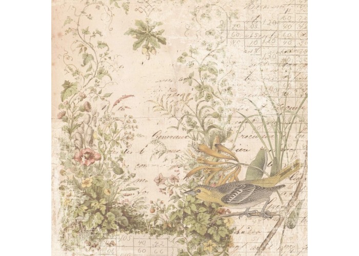 Σετ Χαρτόνια Χειροτεχνίας Creative Expressions • Shabby Botanicals 20cm x 20cm 24Φ 150gsm Σετ Χαρτόνια Χειροτεχνίας Creative Expressions • Shabby Botanicals 20cm x 20cm 24Φ 150gsm