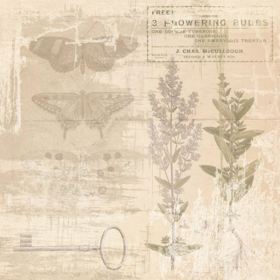 Σετ Χαρτόνια Χειροτεχνίας Creative Expressions • Shabby Botanicals 20cm x 20cm 24Φ 150gsm Σετ Χαρτόνια Χειροτεχνίας Creative Expressions • Shabby Botanicals 20cm x 20cm 24Φ 150gsm