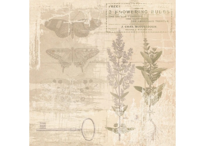Σετ Χαρτόνια Χειροτεχνίας Creative Expressions • Shabby Botanicals 20cm x 20cm 24Φ 150gsm Σετ Χαρτόνια Χειροτεχνίας Creative Expressions • Shabby Botanicals 20cm x 20cm 24Φ 150gsm
