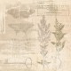 Σετ Χαρτόνια Χειροτεχνίας Creative Expressions • Shabby Botanicals 20cm x 20cm 24Φ 150gsm Σετ Χαρτόνια Χειροτεχνίας Creative Expressions • Shabby Botanicals 20cm x 20cm 24Φ 150gsm