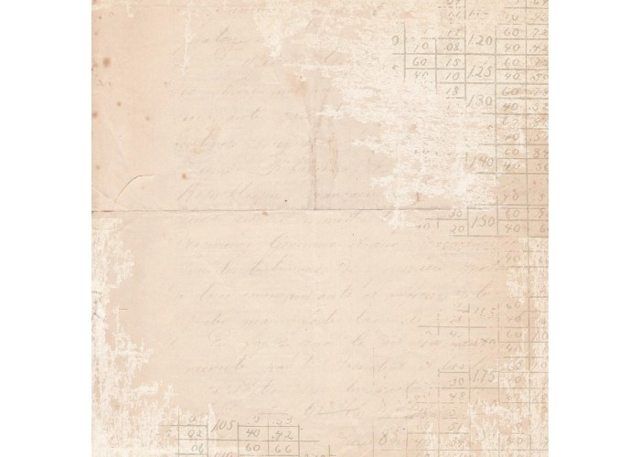 Σετ Χαρτόνια Χειροτεχνίας Creative Expressions • Shabby Botanicals 20cm x 20cm 24Φ 150gsm Σετ Χαρτόνια Χειροτεχνίας Creative Expressions • Shabby Botanicals 20cm x 20cm 24Φ 150gsm