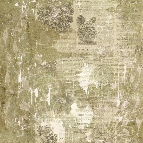 Σετ Χαρτόνια Χειροτεχνίας Creative Expressions • Shabby Botanicals 20cm x 20cm 24Φ 150gsm Σετ Χαρτόνια Χειροτεχνίας Creative Expressions • Shabby Botanicals 20cm x 20cm 24Φ 150gsm