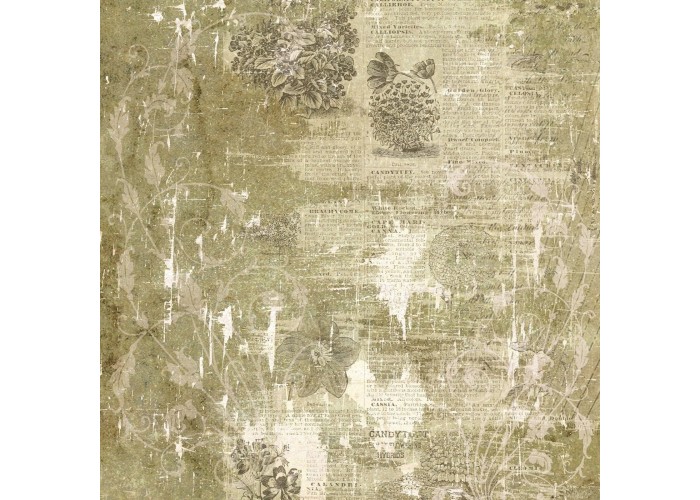 Σετ Χαρτόνια Χειροτεχνίας Creative Expressions • Shabby Botanicals 20cm x 20cm 24Φ 150gsm Σετ Χαρτόνια Χειροτεχνίας Creative Expressions • Shabby Botanicals 20cm x 20cm 24Φ 150gsm