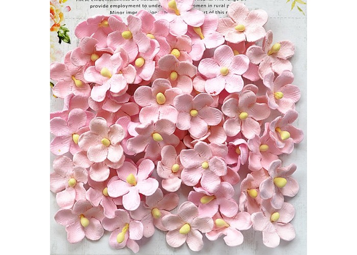 Χειροποίητα Λουλούδια Paula Pearl Pink 60τεμ
