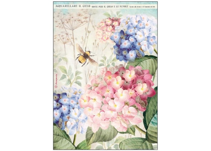 Ριζόχαρτο Decoupage A4 - Ortensie