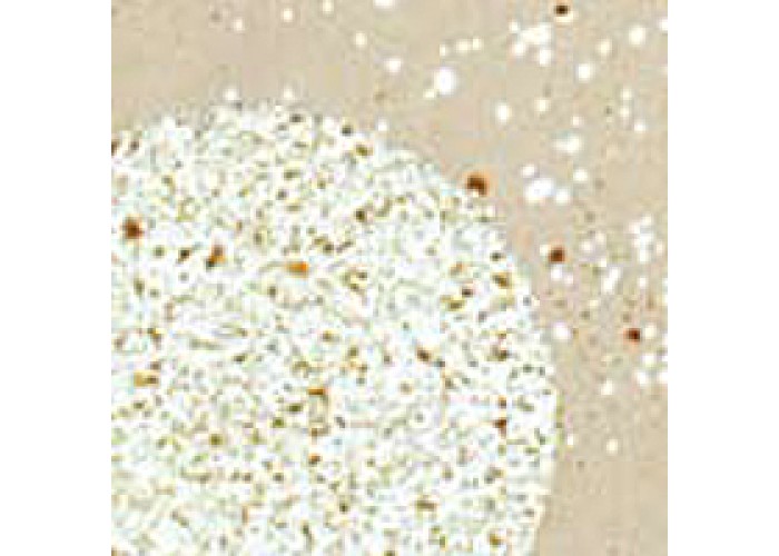 EMBOSS ENAMEL SHABBY WHITE 17gr EMBOSS ENAMEL SHABBY WHITE 17gr