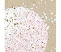 EMBOSS ENAMEL SHABBY PINK EMBOSS ENAMEL SHABBY PINK