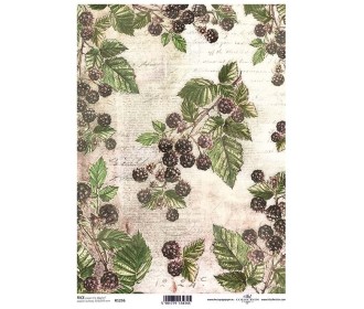 Ριζόχαρτο Decoupage A4 - Blackberries 