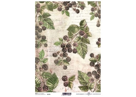 Ριζόχαρτο Decoupage A4 - Blackberries Ριζόχαρτο Decoupage A4 - Blackberries