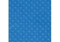 dotted swiss- Neptune dotted swiss- Neptune