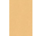 Χαρτόνι Κάνσον Α4 220gr - Μπεζ 'Άμμου Χαρτόνι Κάνσον Α4 220gr - Μπεζ 'Άμμου