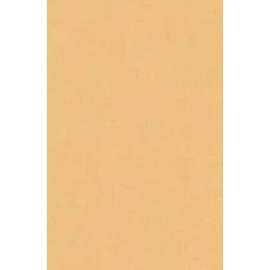 Χαρτόνι Κάνσον Α4 220gr - Μπεζ 'Άμμου
