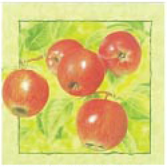 Χαρτοπετσέτα decoupage 33X33 μήλα Χαρτοπετσέτα decoupage 33X33 μήλα