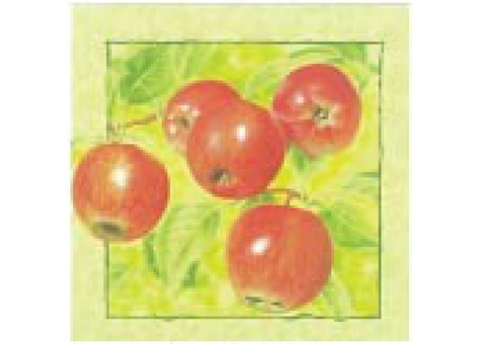 Χαρτοπετσέτα decoupage 33X33 μήλα Χαρτοπετσέτα decoupage 33X33 μήλα