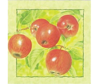 Χαρτοπετσέτα decoupage 33X33 μήλα