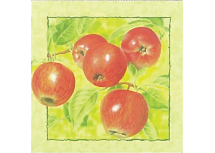 Χαρτοπετσέτα decoupage 33X33 μήλα Χαρτοπετσέτα decoupage 33X33 μήλα