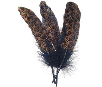 Φτερό μαύρο-χρυσό 16εκ. 10τεμ Φτερό μαύρο-χρυσό 16εκ. 10τεμ