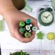 Sketch Markers άριστης ποιότητας 6τεμ Greens