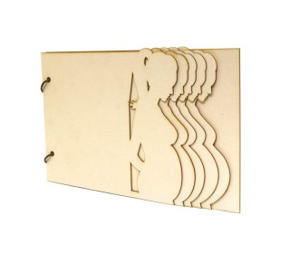 Άλμπουμ Εγγυμοσύνης από chipboard #2