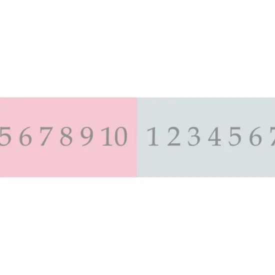 Washi Tape, with Dates 15mmx8m