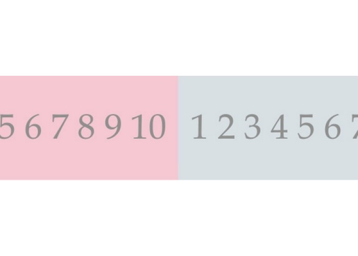 Washi Tape, with Dates 15mmx8m