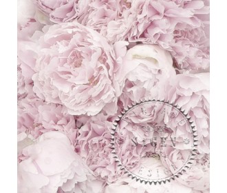 Χαρτοπετσέτα decoupage 33X33  Vintage  Χαρτοπετσέτα decoupage 33X33  Vintage