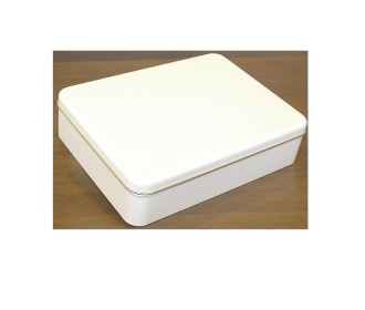 LIGHT BEIGE ΜΕΤΑΛΛΙΚΟ ΚΟΥΤΙ 22.3X16.7X7 εκ.