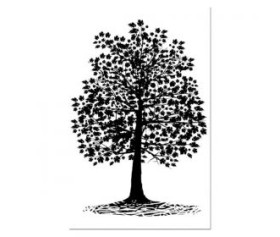 Σφραγίδα Δέντρο