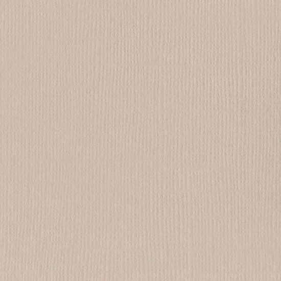 Xαρτόνι Bazzill mono canvas 30cmx30cm 216g Twig