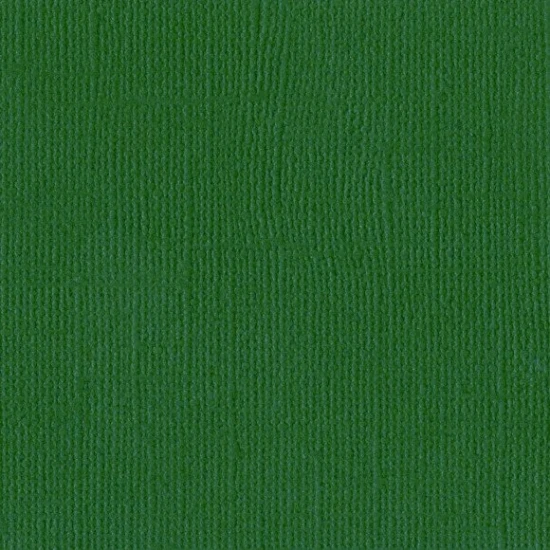 Χαρτόνι Bazzill 30cmx30cm 216g Classic Green